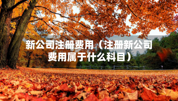 新公司注冊費用（注冊新公司費用屬于什么科目）
