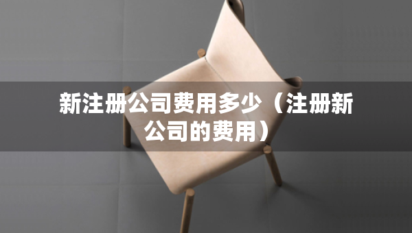 新注冊公司費用多少（注冊新公司的費用）