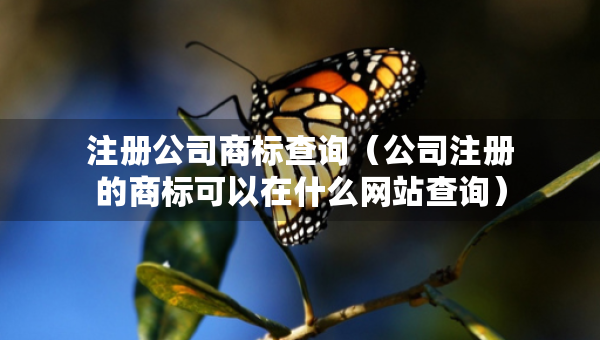 注冊公司商標(biāo)查詢（公司注冊的商標(biāo)可以在什么網(wǎng)站查詢）