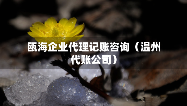 甌海企業(yè)代理記賬咨詢(溫州代賬公司) 甌海企業(yè)代理記賬咨詢(溫州代賬公司)
