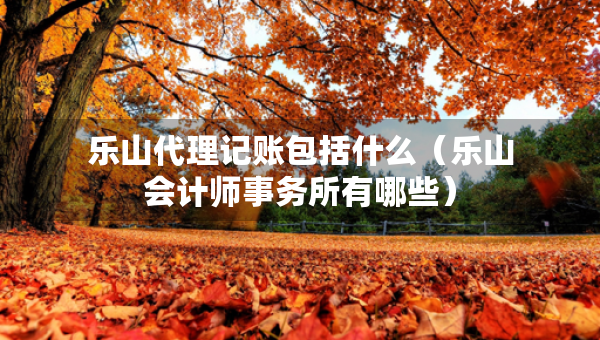 樂山代理記賬包括什么（樂山會(huì)計(jì)師事務(wù)所有哪些）