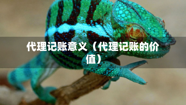 代理記賬意義（代理記賬的價值）