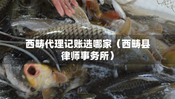 西疇代理記賬選哪家（西疇縣律師事務(wù)所）