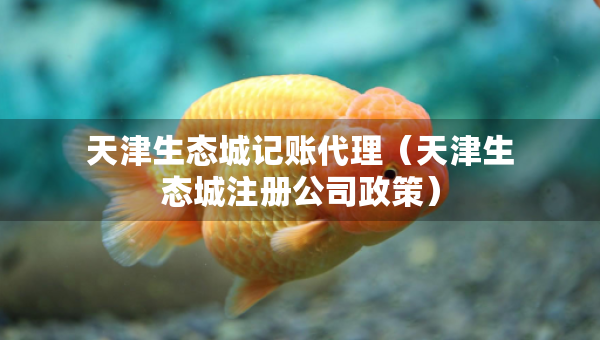 天津生態(tài)城記賬代理(天津生態(tài)城注冊(cè)公司政策) 天津生態(tài)城記賬代理(天津生態(tài)城注冊(cè)公司政策)