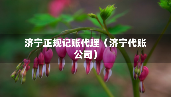 濟(jì)寧正規(guī)記賬代理（濟(jì)寧代賬公司）