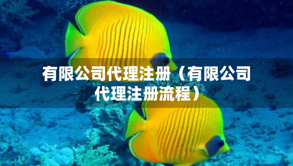 有限公司代理注冊（有限公司代理注冊流程）