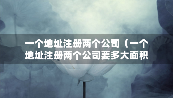 一個地址注冊兩個公司（一個地址注冊兩個公司要多大面積）