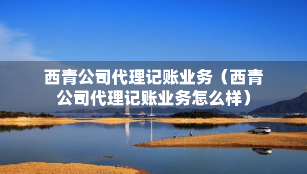 西青公司代理記賬業(yè)務(wù)（西青公司代理記賬業(yè)務(wù)怎么樣）