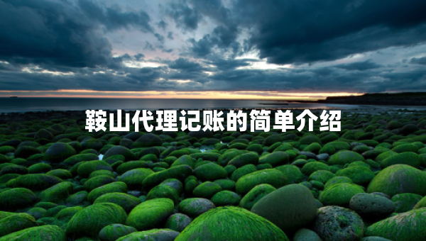 鞍山代理記賬的簡(jiǎn)單介紹