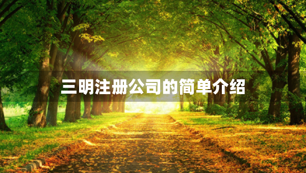 三明注冊公司的簡單介紹