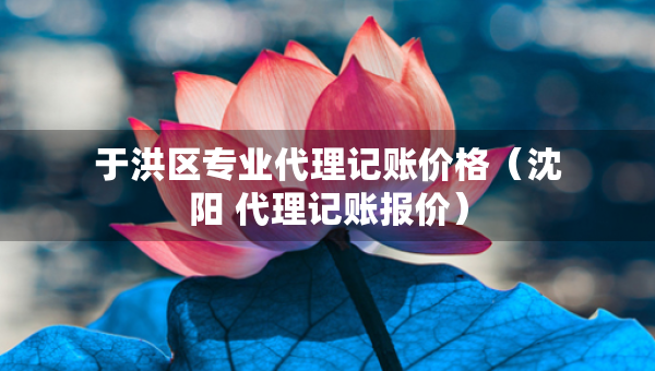 于洪區(qū)專業(yè)代理記賬價格（沈陽 代理記賬報價）