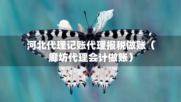 河北代理記賬代理報稅做賬（廊坊代理會計做賬）