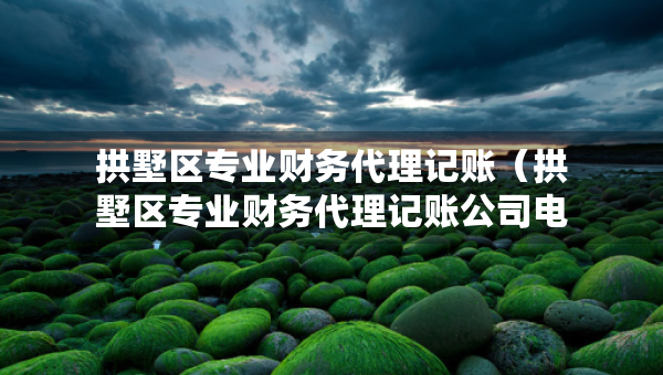 拱墅區(qū)專業(yè)財(cái)務(wù)代理記賬（拱墅區(qū)專業(yè)財(cái)務(wù)代理記賬公司電話）