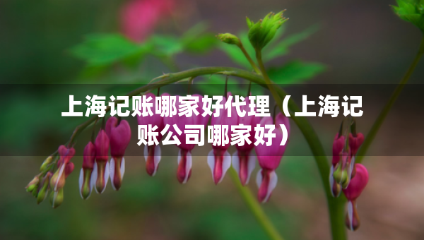 上海記賬哪家好代理（上海記賬公司哪家好）