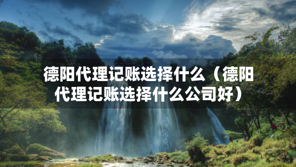 德陽代理記賬選擇什么（德陽代理記賬選擇什么公司好）