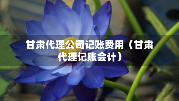 甘肅代理公司記賬費(fèi)用（甘肅代理記賬會(huì)計(jì)）