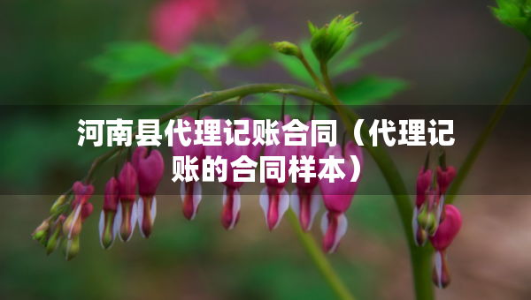 河南縣代理記賬合同（代理記賬的合同樣本）