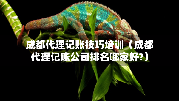 成都代理記賬技巧培訓（成都代理記賬公司排名哪家好?）