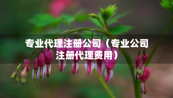 專(zhuān)業(yè)代理注冊(cè)公司(專(zhuān)業(yè)公司注冊(cè)代理費(fèi)用) 專(zhuān)業(yè)代理注冊(cè)公司(專(zhuān)業(yè)公司注冊(cè)代理費(fèi)用)