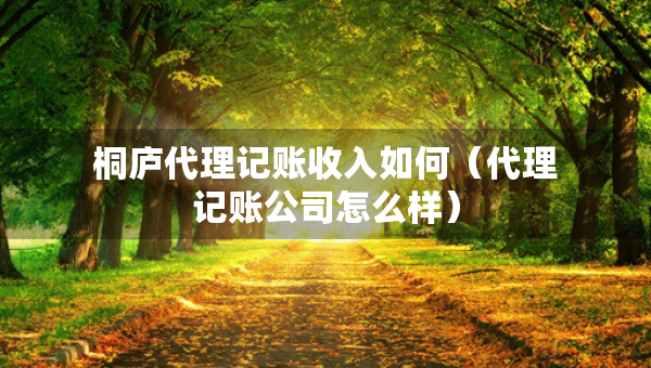 桐廬代理記賬收入如何（代理記賬公司怎么樣）