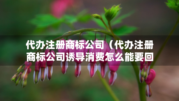代辦注冊商標公司（代辦注冊商標公司誘導消費怎么能要回來）