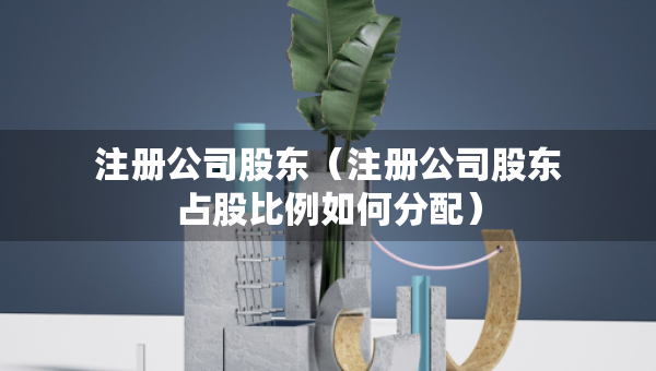 注冊(cè)公司股東（注冊(cè)公司股東占股比例如何分配）