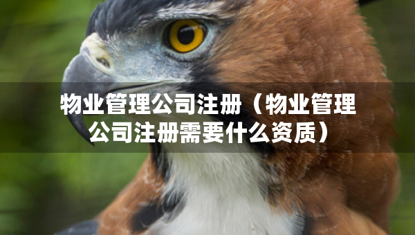 物業(yè)管理公司注冊（物業(yè)管理公司注冊需要什么資質(zhì)）