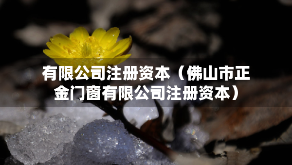 有限公司注冊資本（佛山市正金門窗有限公司注冊資本）