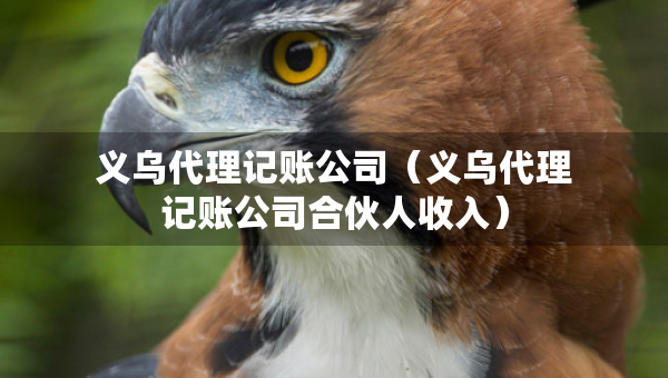 義烏代理記賬公司（義烏代理記賬公司合伙人收入）