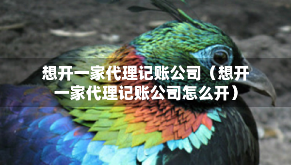 想開一家代理記賬公司（想開一家代理記賬公司怎么開）