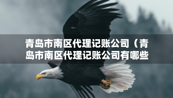青島市南區(qū)代理記賬公司（青島市南區(qū)代理記賬公司有哪些）