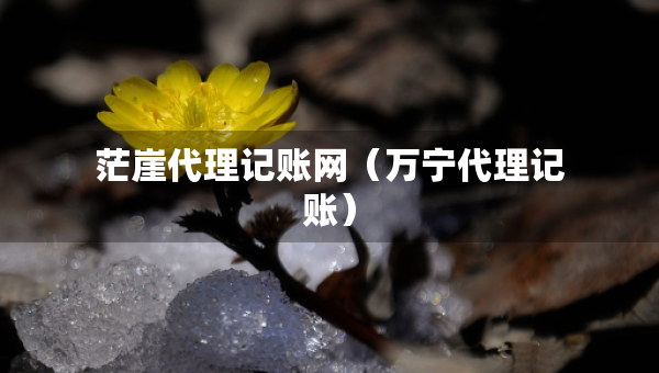 茫崖代理記賬網(wǎng)（萬寧代理記賬）