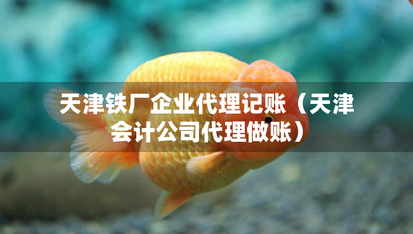 天津鐵廠企業(yè)代理記賬（天津會(huì)計(jì)公司代理做賬）