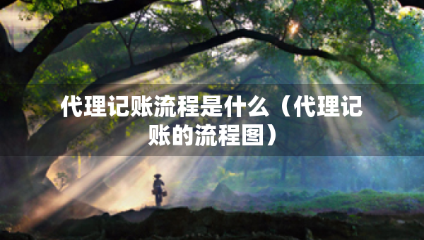代理記賬流程是什么（代理記賬的流程圖）