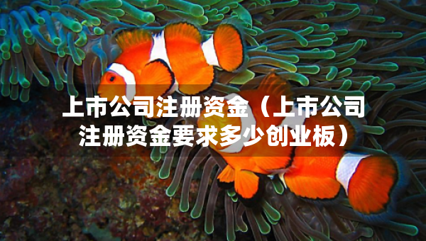 上市公司注冊資金（上市公司注冊資金要求多少創(chuàng)業(yè)板）