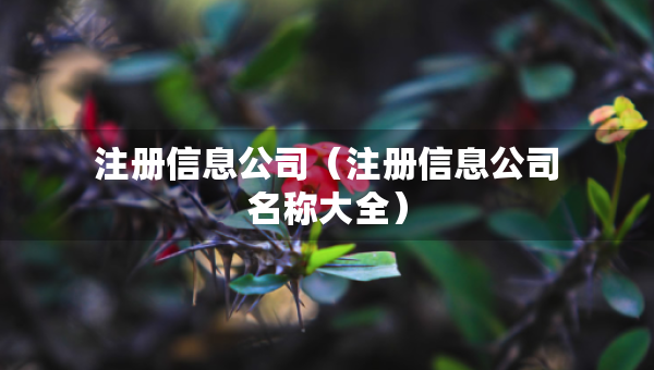注冊(cè)信息公司（注冊(cè)信息公司名稱大全）