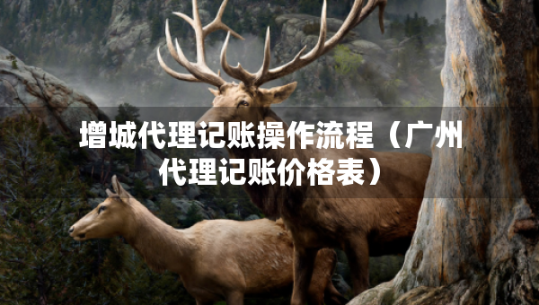 增城代理記賬操作流程（廣州代理記賬價(jià)格表）