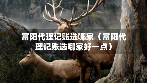 富陽代理記賬選哪家（富陽代理記賬選哪家好一點）