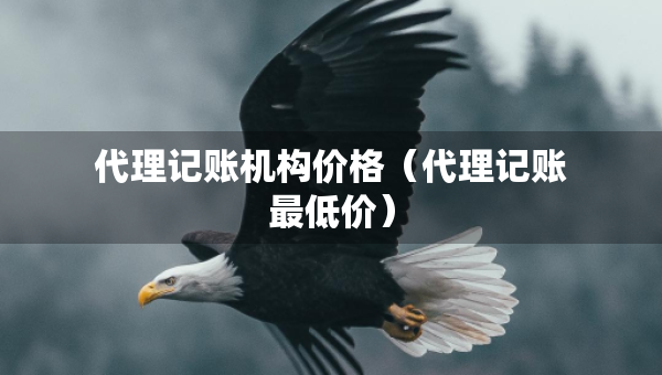 代理記賬機(jī)構(gòu)價(jià)格（代理記賬最低價(jià)）