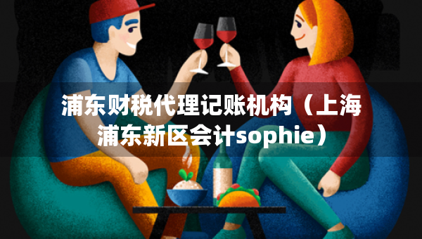 浦東財稅代理記賬機構（上海浦東新區(qū)會計sophie）