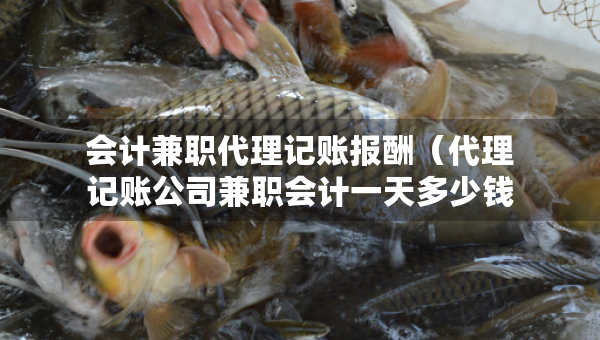 會計兼職代理記賬報酬（代理記賬公司兼職會計一天多少錢）