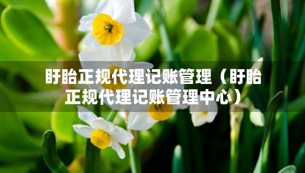 盱眙正規(guī)代理記賬管理（盱眙正規(guī)代理記賬管理中心）