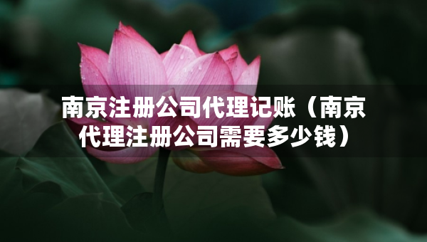 南京注冊公司代理記賬（南京代理注冊公司需要多少錢）
