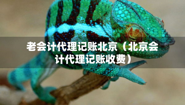 老會計代理記賬北京（北京會計代理記賬收費）