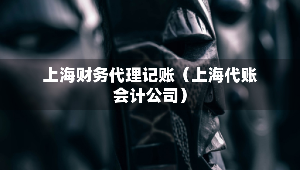 上海財務(wù)代理記賬（上海代賬會計公司）