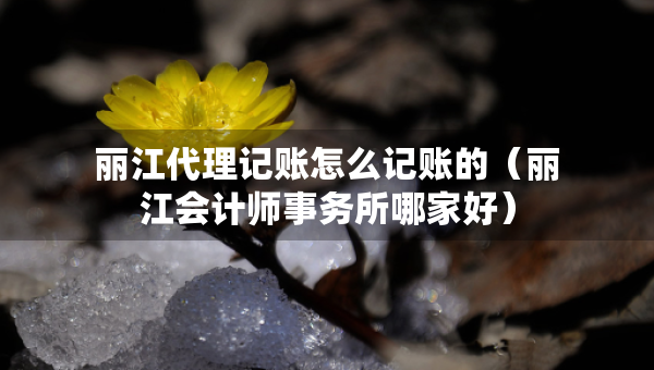 麗江代理記賬怎么記賬的（麗江會(huì)計(jì)師事務(wù)所哪家好）