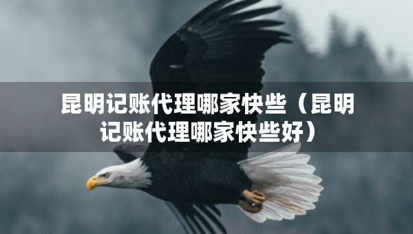 昆明記賬代理哪家快些（昆明記賬代理哪家快些好）