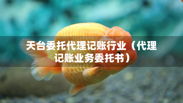 天臺委托代理記賬行業(yè)（代理記賬業(yè)務(wù)委托書）