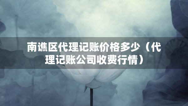 南譙區(qū)代理記賬價格多少（代理記賬公司收費(fèi)行情）