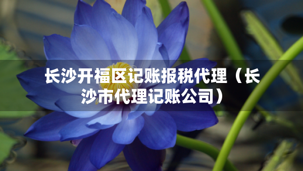 長(zhǎng)沙開(kāi)福區(qū)記賬報(bào)稅代理（長(zhǎng)沙市代理記賬公司）